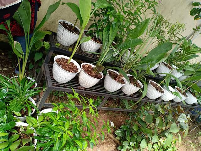uploads/2025/05/WhatsApp-Image-2025-04-30-at-18.35.47_ae631554.jpg