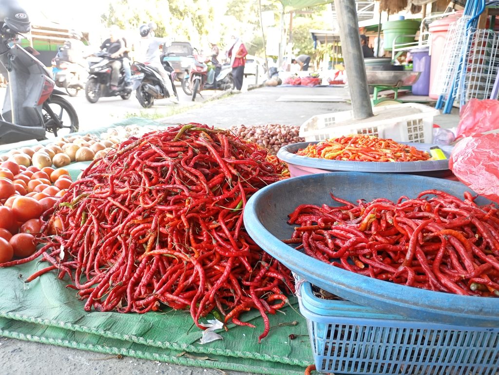 WhatsApp Image 2025-05-23 at 22.36.05_106e31a7