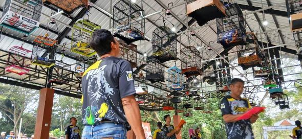 WhatsApp Image 2025-08-06 at 01.27.07_fc9b3b89