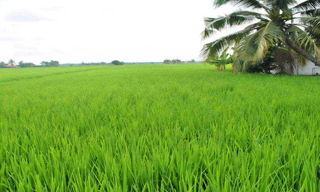 WhatsApp Image 2025-09-17 at 14.31.33_9501f2f9