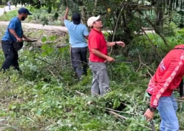 WhatsApp Image 2025-09-24 at 12.54.29_335aae1f