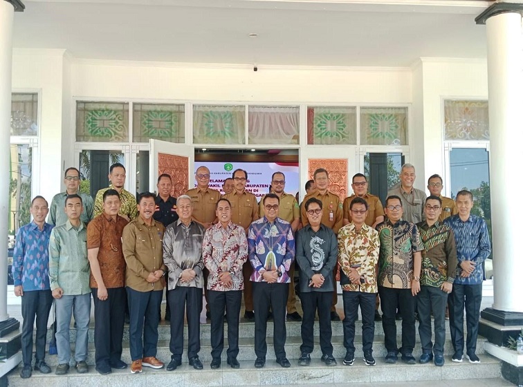 WhatsApp Image 2025-10-04 at 23.22.11