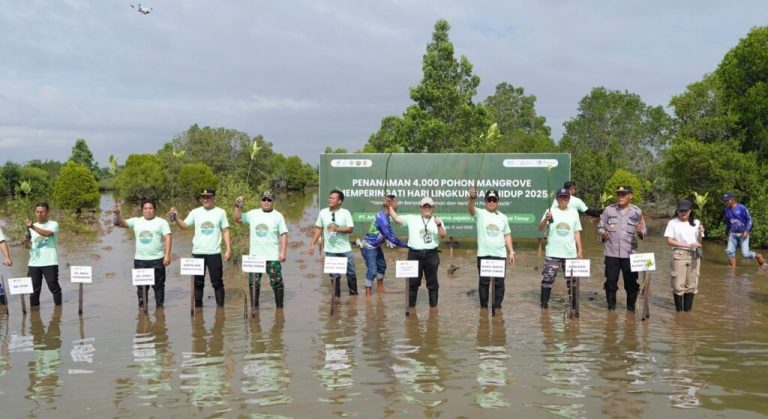 Lestarikan Ekosistem, PT APE dan Pemkab Kutim Tanam 4.000 Bibit Mangrove (4)