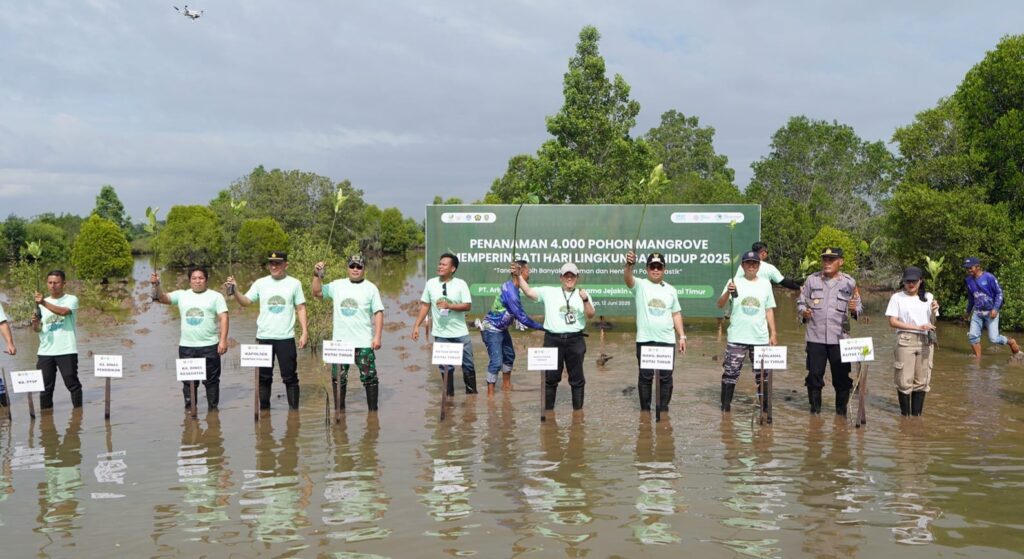 Lestarikan Ekosistem, PT APE dan Pemkab Kutim Tanam 4.000 Bibit Mangrove (4)