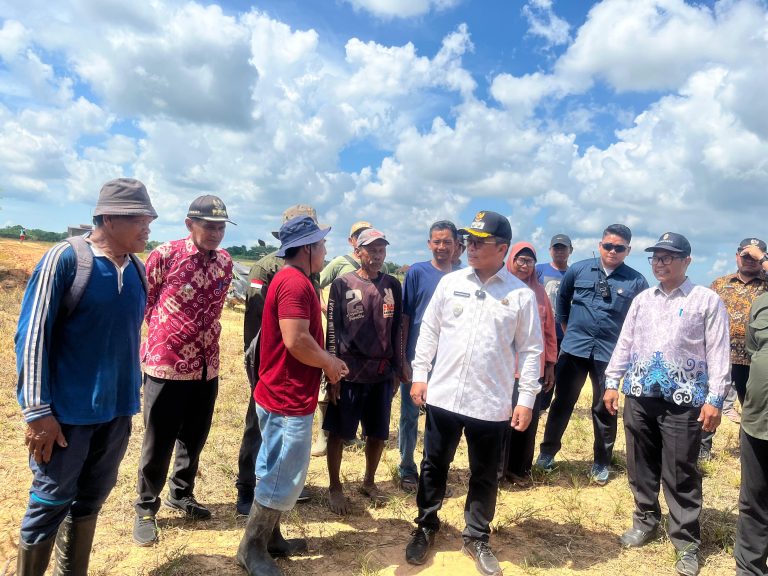 WhatsApp Image 2025-05-16 at 14.05.46