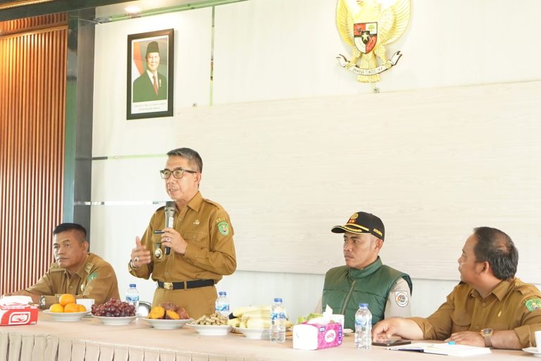 WhatsApp Image 2025-09-16 at 16.59.22