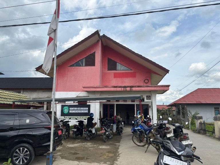 WhatsApp Image 2025-11-02 at 11.58.06_973608b0