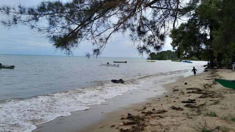 IMG_20260204_141602_716